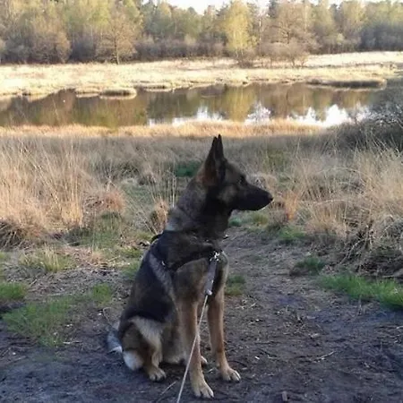 Op Unieke Locatie De Kronkel Op De Veluwe ゲストハウス 3*