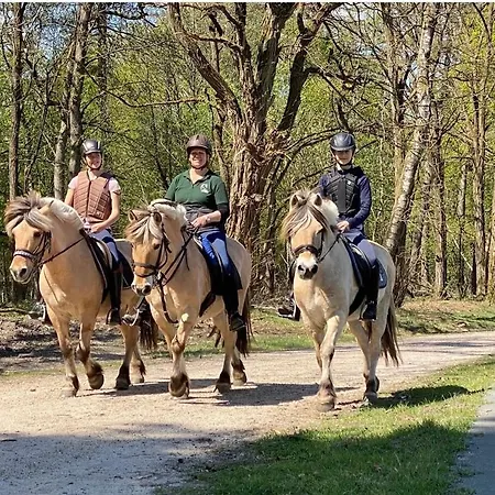 Op Unieke Locatie De Kronkel Op De Veluwe * Hoog Soeren
