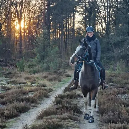 Op Unieke Locatie De Kronkel Op De Veluwe *