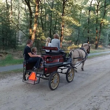 Op Unieke Locatie De Kronkel Op De Veluwe * Hoog Soeren