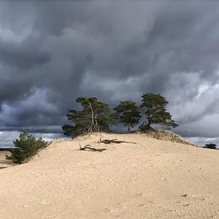 Bed & Breakfast Op Unieke Locatie De Kronkel Op De Veluwe