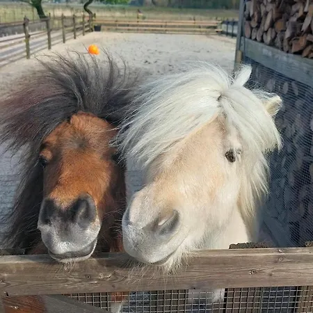 Op Unieke Locatie De Kronkel Op De Veluwe *