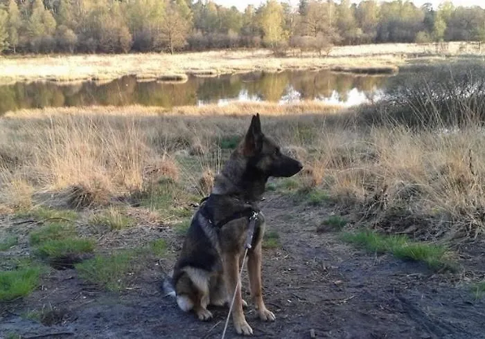 Op Unieke Locatie De Kronkel Op De Veluwe Gasthuis 3*