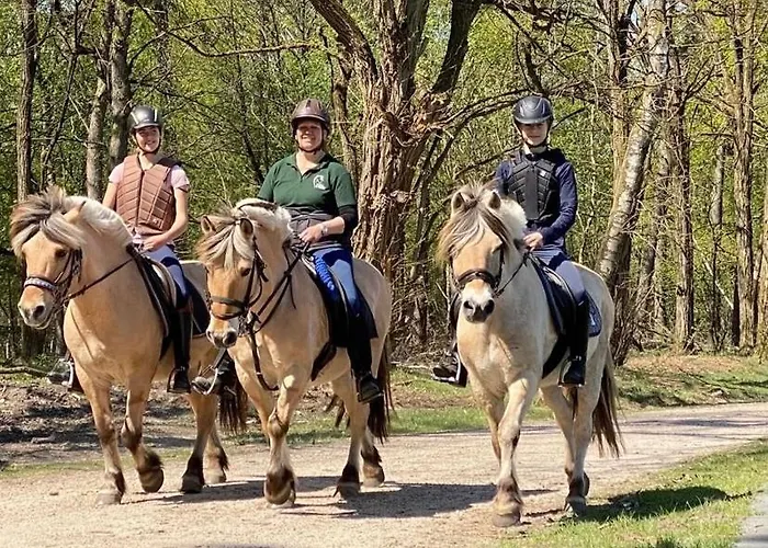 Op Unieke Locatie De Kronkel Op De Veluwe 3* Hoog Soeren