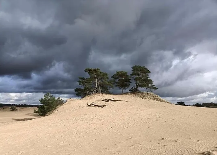 Gasthuis Op Unieke Locatie De Kronkel Op De Veluwe