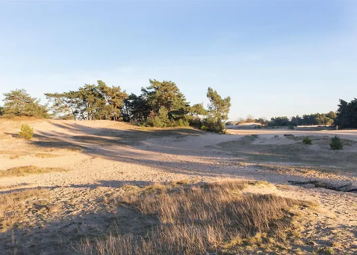 Op Unieke Locatie De Kronkel Op De Veluwe Hoog Soeren