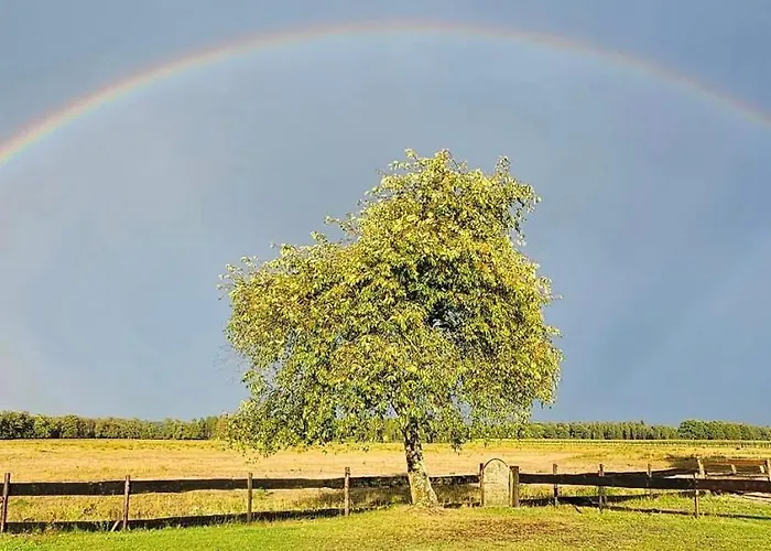 Gasthuis Op Unieke Locatie De Kronkel Op De Veluwe 3*