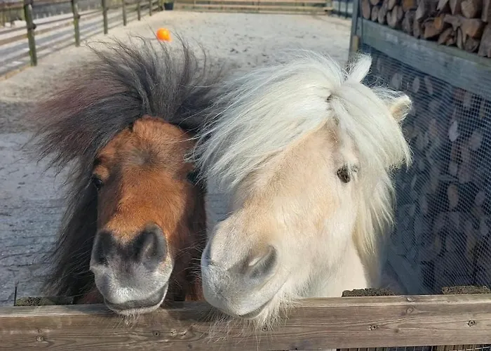 Op Unieke Locatie De Kronkel Op De Veluwe 3*