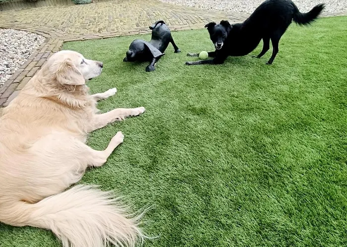 Op Unieke Locatie De Kronkel Op De Veluwe 3*