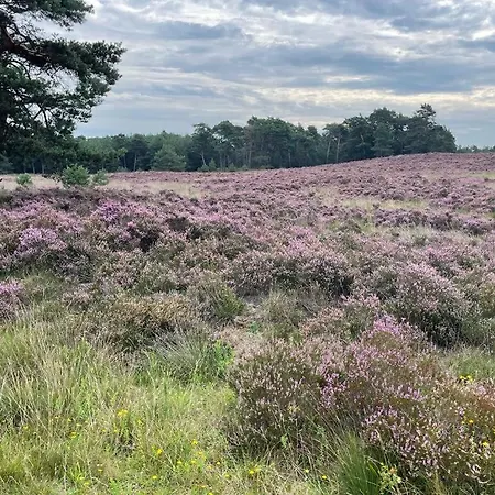 Op Unieke Locatie De Kronkel Op De Veluwe 게스트하우스 3*
