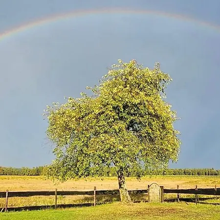 게스트하우스 Op Unieke Locatie De Kronkel Op De Veluwe 3*