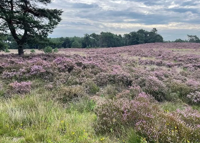 Op Unieke Locatie De Kronkel Op De Veluwe Pensión 3*
