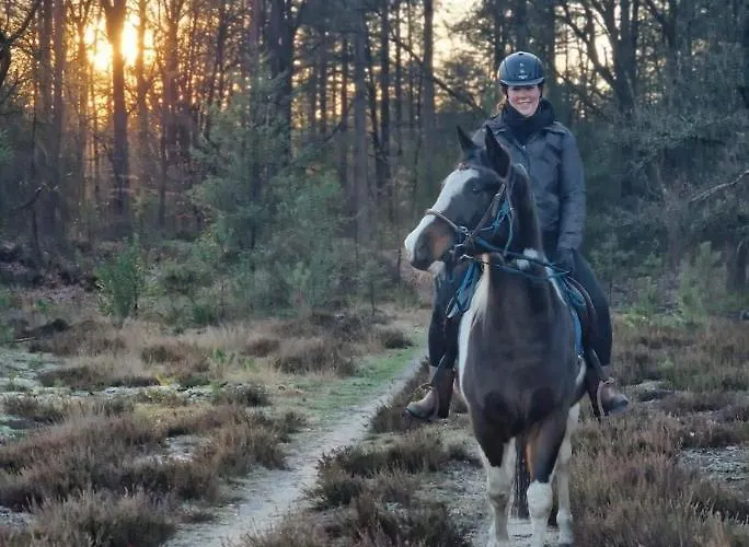 Op Unieke Locatie De Kronkel Op De Veluwe 3*