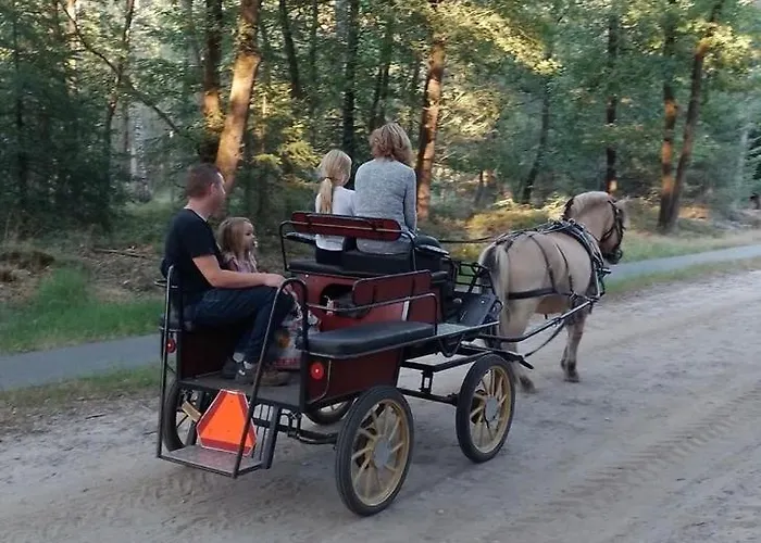 Op Unieke Locatie De Kronkel Op De Veluwe 3* Hoog Soeren